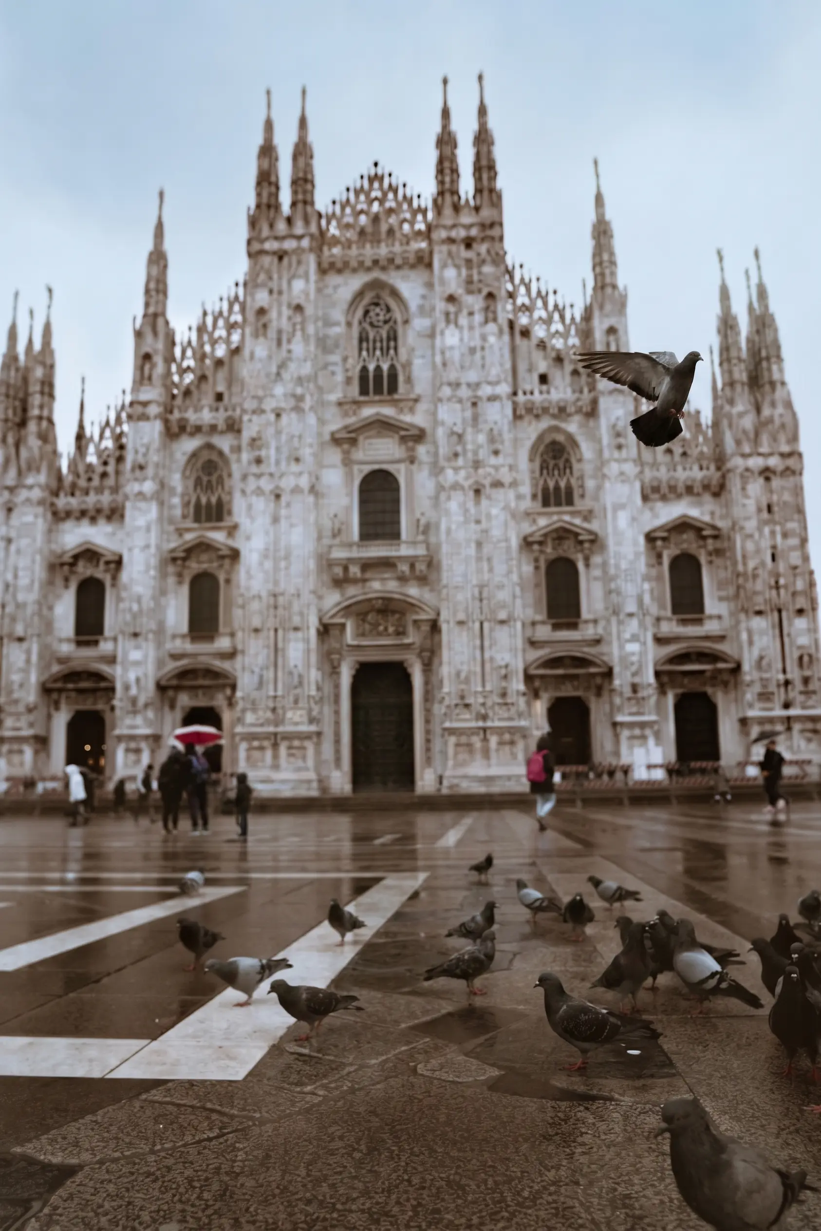 Milan Duomo cathedral square on a wet overcast day, pigeons across the empty foreground